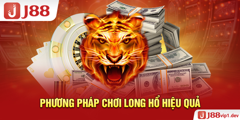 Phương pháp chơi long hổ hiệu quả